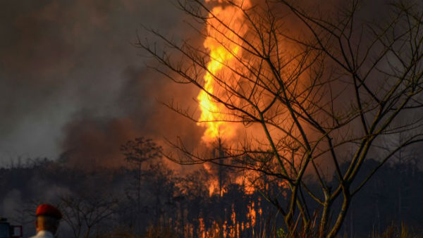 பேரிடர் மீட்பு படை 