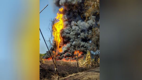 சிங்கப்பூர் குழு 