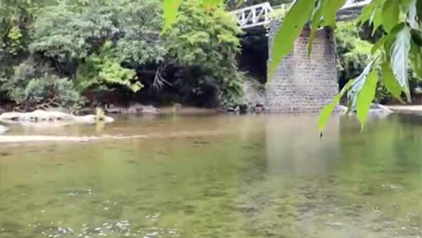 யானை கூட்டம் 