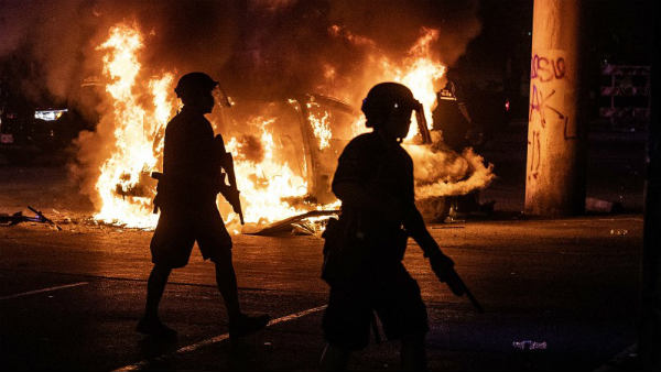 நாய்கள்