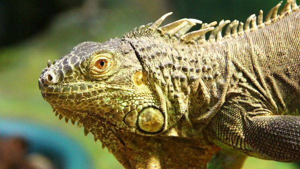 என்ன நடந்தது 