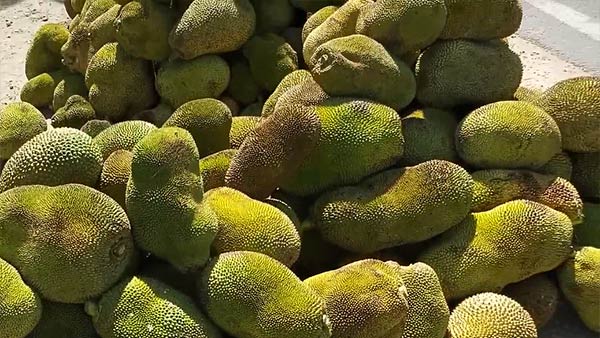 குடும்பம் 