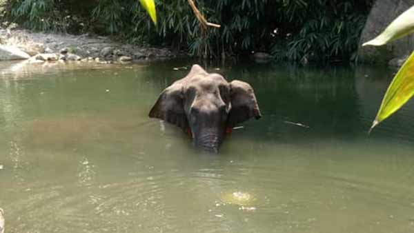 என்ன விசாரணை 