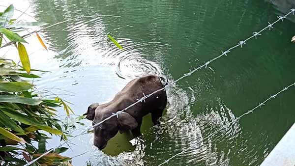 சந்தேகம் வந்தது 