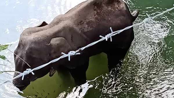 ஏய் மனிதா 