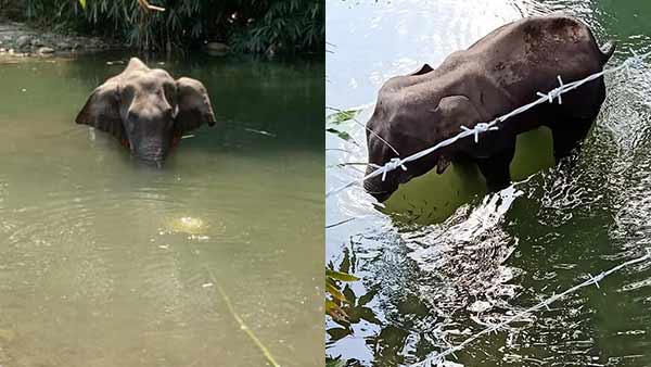 எரிச்சல் 