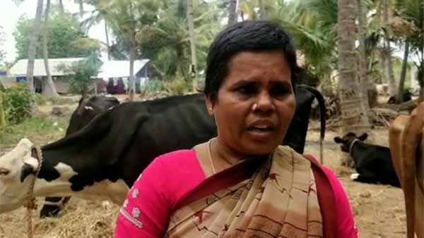தடுப்பது 