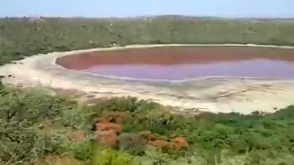 இளஞ்சிவப்பு வண்ணம் 