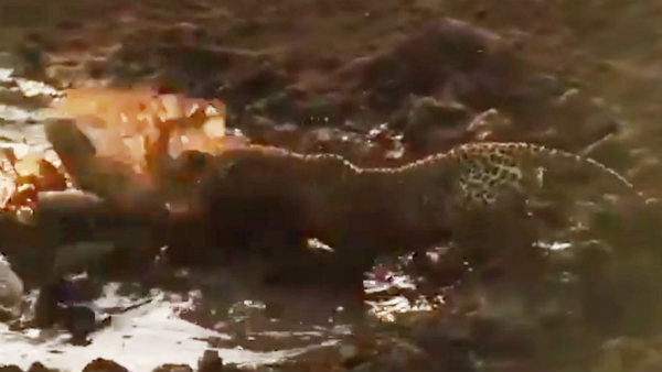 பசி வந்தால்... 