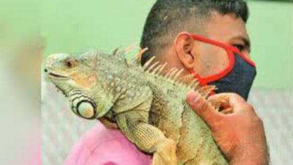 மிகவும் அதிக பாசம் 