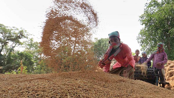 மகளிர் குழுக்கள் 