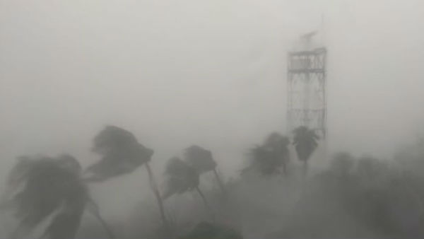 பேரிடர் மீட்புப் படை 