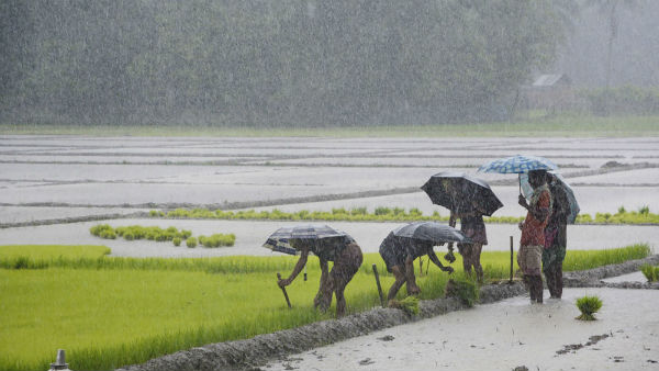 சின்னக்கல்லாரில் 7 செ.மீ 