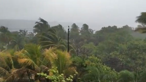 43 தேசிய பேரிடர் மேலாண்மை குழு 