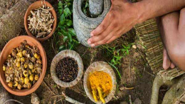 கொரோனாவை குணப்படுத்த மூலிகை மருத்துவம் 