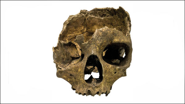 ஜிப்ரல்டார் குகை ஜிப்ரல்டார் குகை