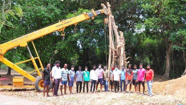 social activists trying to plant the old tree which was uprooted 