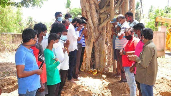 social activists trying to plant the old tree which was uprooted 