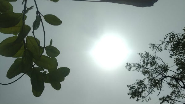 ஆய்வாளர்கள் 