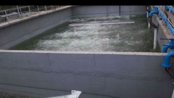 பிற நாடுகளை போல 