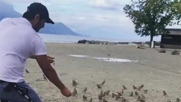 பறவைகளோடு பறவையாய்