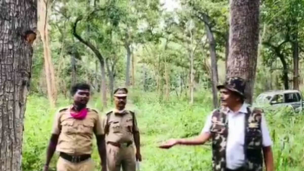 கரடுமுரடு கரடுமுரடு