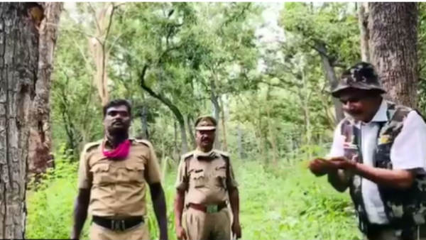 படைப்பு படைப்பு