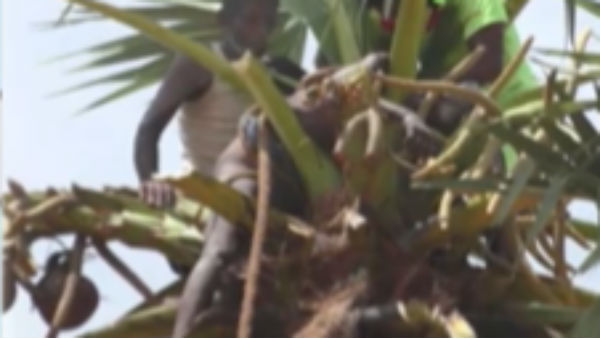 மயக்கம் 