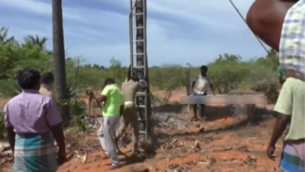 தோட்ட தொழிலாளி 