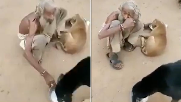 கைகள் கைகள்