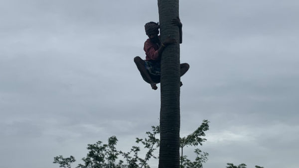 உயிர்கள் மீது பாசம் 