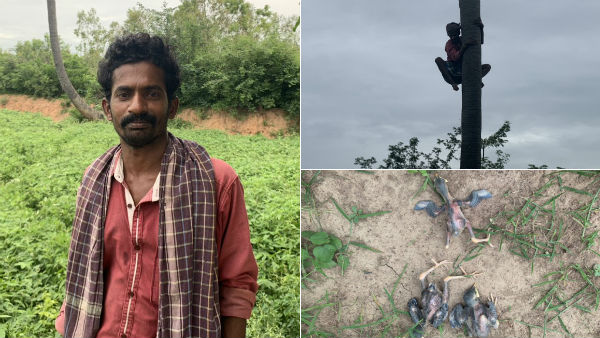 சிலிர்க்க வைத்தது 