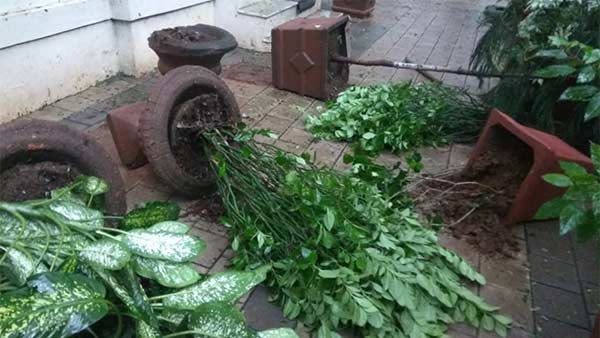 Mumbai Ambedkars residence attacked by unidentified persons Mumbai Ambedkars residence attacked by unidentified persons