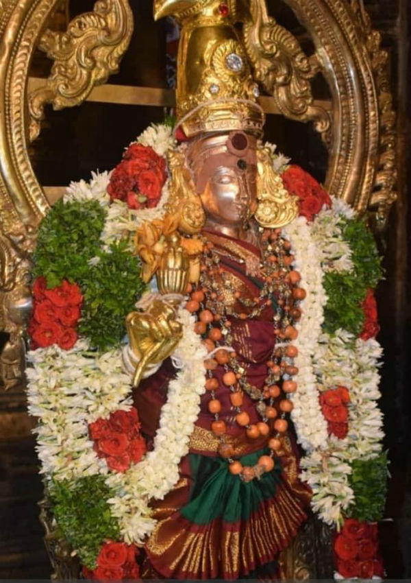 பெரியபாளையம் பவானி அம்மம் 