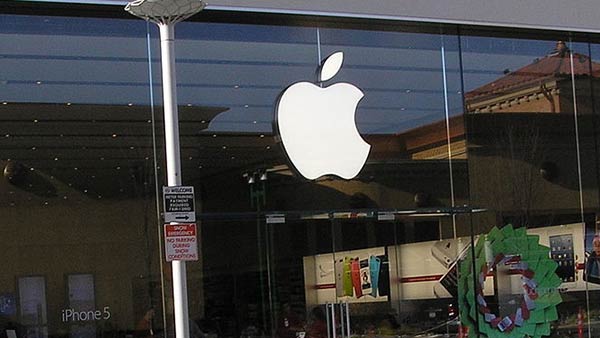 மிகப்பெரிய நிறுவனம் 