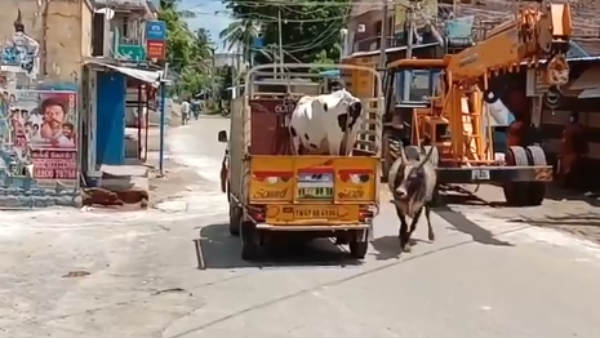 வேகமாக துரத்தியது 