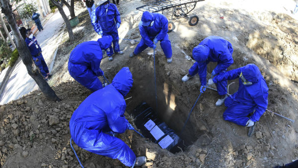 சாந்தா குரூஸில் அதிகம் சாந்தா குரூஸில் அதிகம்