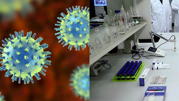 Coronavirus leaked from the Institute of Virology in Wuhan america is gathering the evidence says Steve Bannon Coronavirus leaked from the Institute of Virology in Wuhan america is gathering the evidence says Steve Bannon