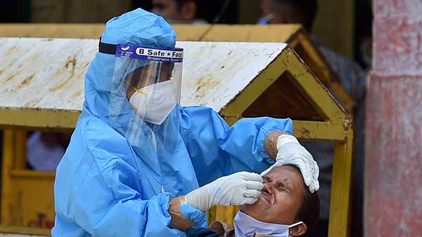 சளி மாதிரிகள் 