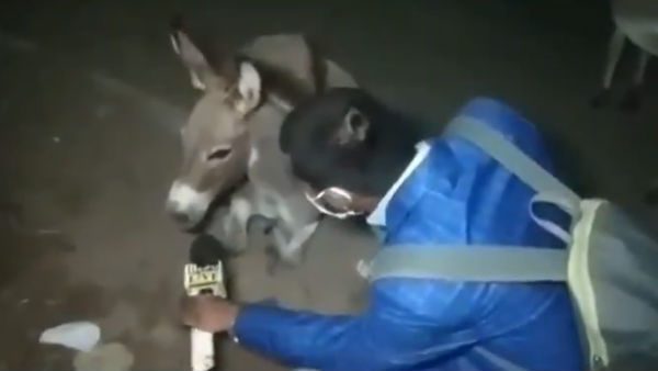 பேசவில்லை 