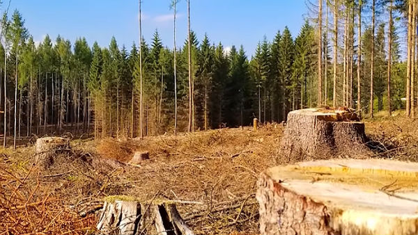 மூன்றாவது திருத்தம் மூன்றாவது திருத்தம்