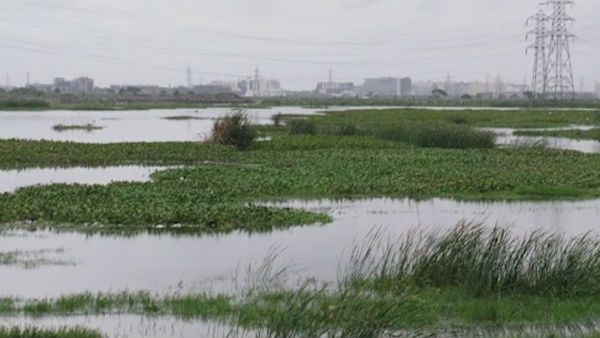 இரண்டாவது திருத்தம் இரண்டாவது திருத்தம்