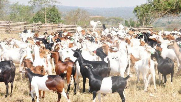 எப்படி அமைப்பது 