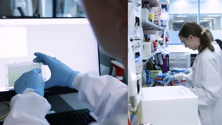 மூன்று தடுப்பூசி 