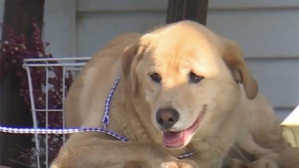 வருத்தம் வருத்தம்