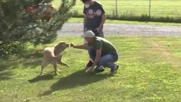 மகிழ்ச்சி வெள்ளம் மகிழ்ச்சி வெள்ளம்