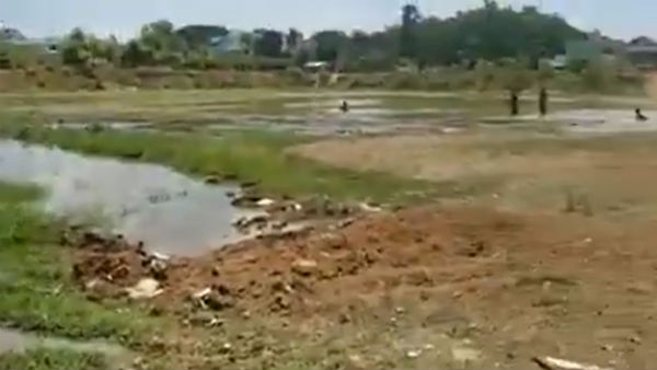பொங்கி வந்த காவிரி நீர் 