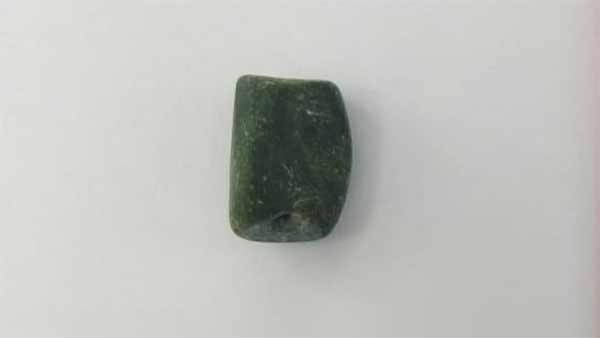 Lengthy green algae were found in the Tamilnadus Akaram excavation 