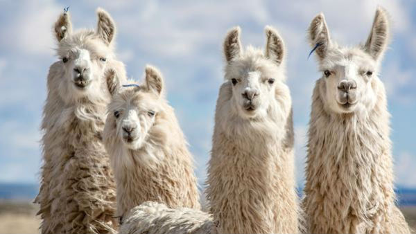 சொன்னது என்ன 