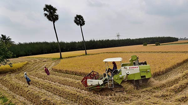 விவசாயிகள் குமுறல் 